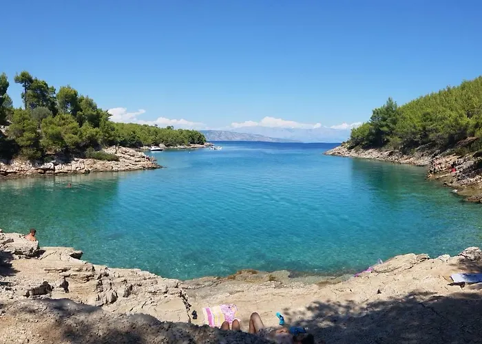 Smuljic 韦伯斯卡