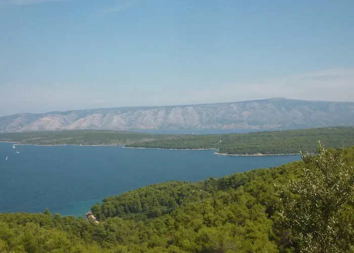 Smuljic *